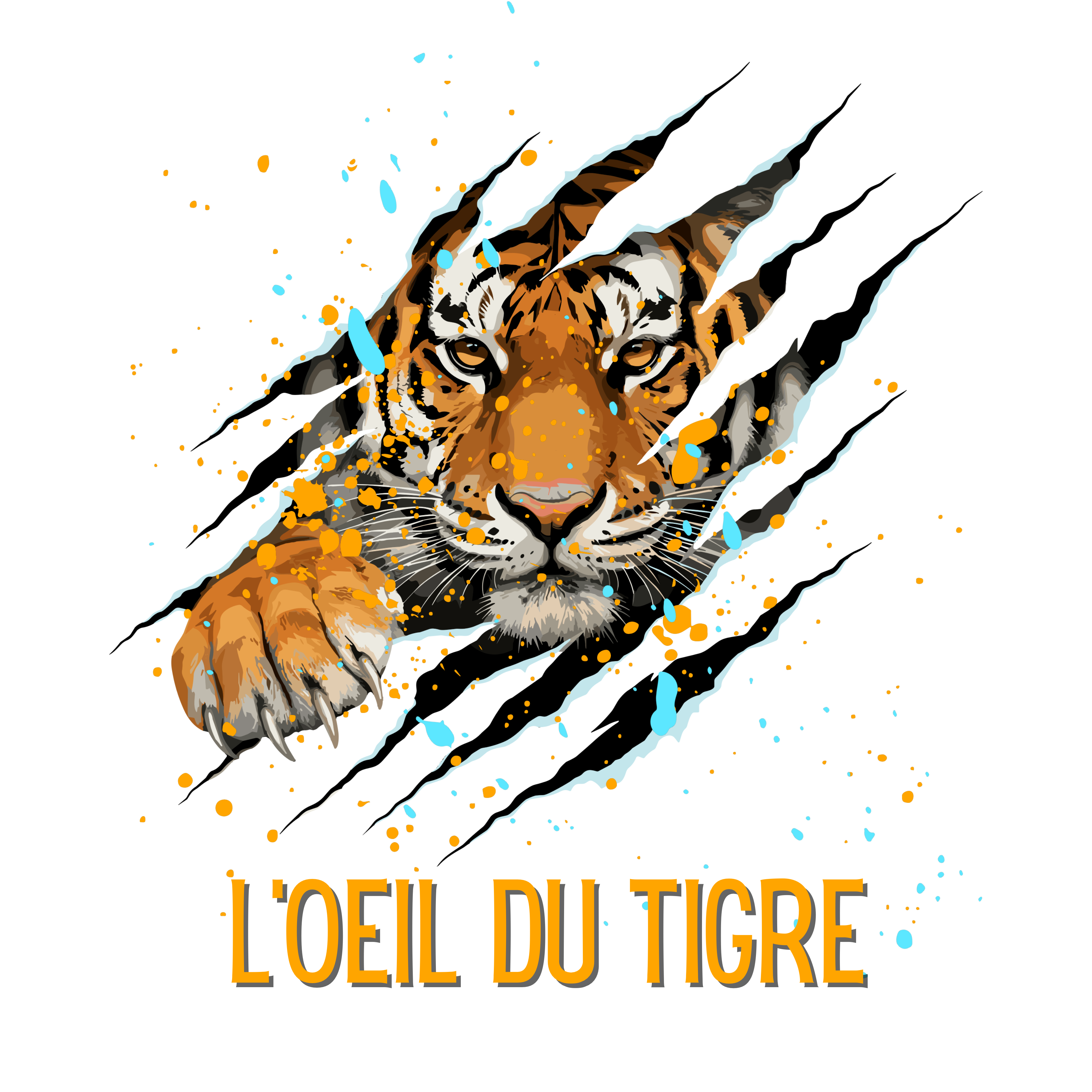 Body bébé - L'oeil du tigre griffer français