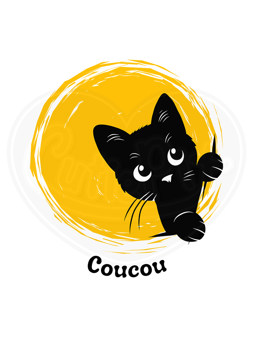 T-shirt classique pour jeunes - Coucou minou français