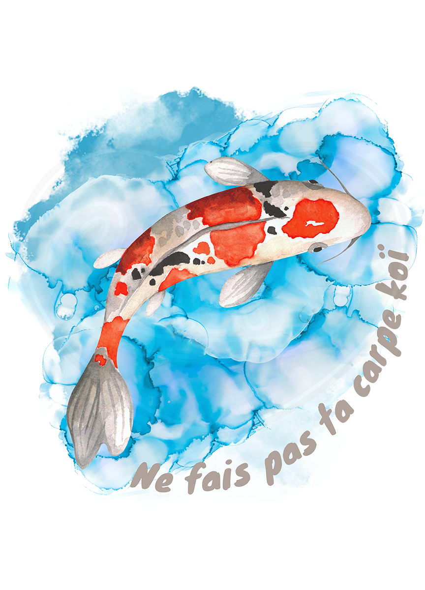 DryBlend® T-Shirt - Don't be so koi French