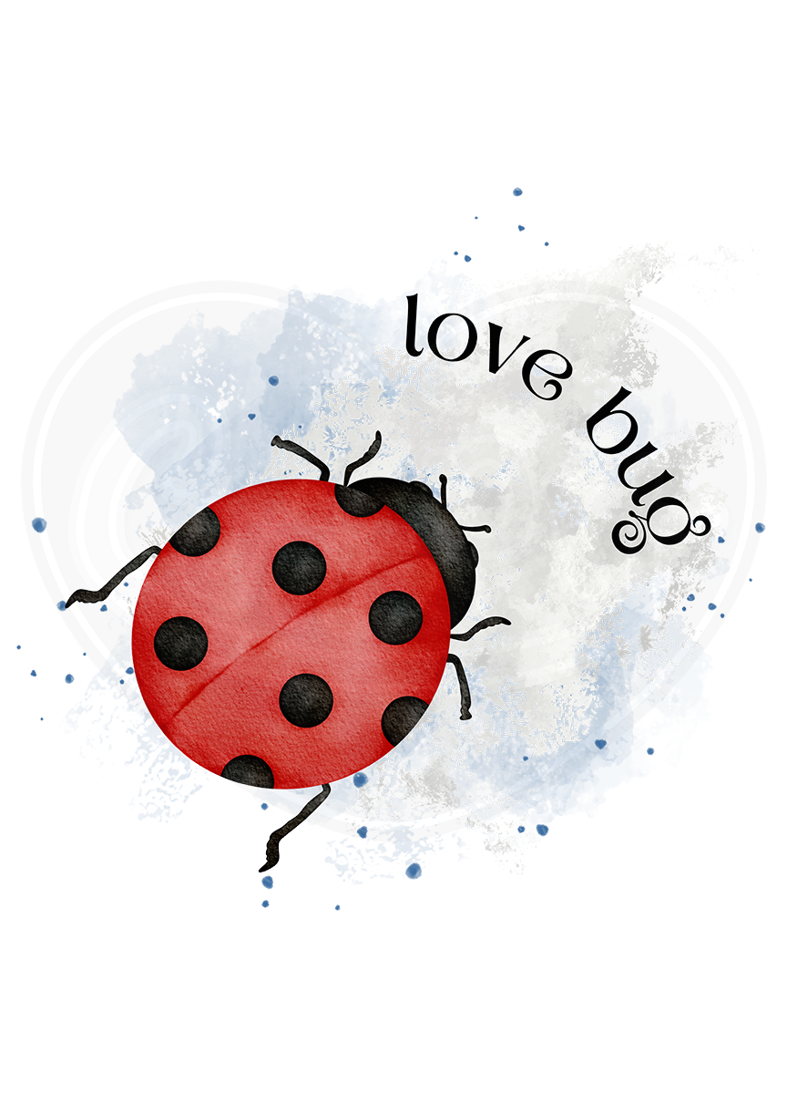 DryBlend® T-Shirt - Ladybug love bug silver
