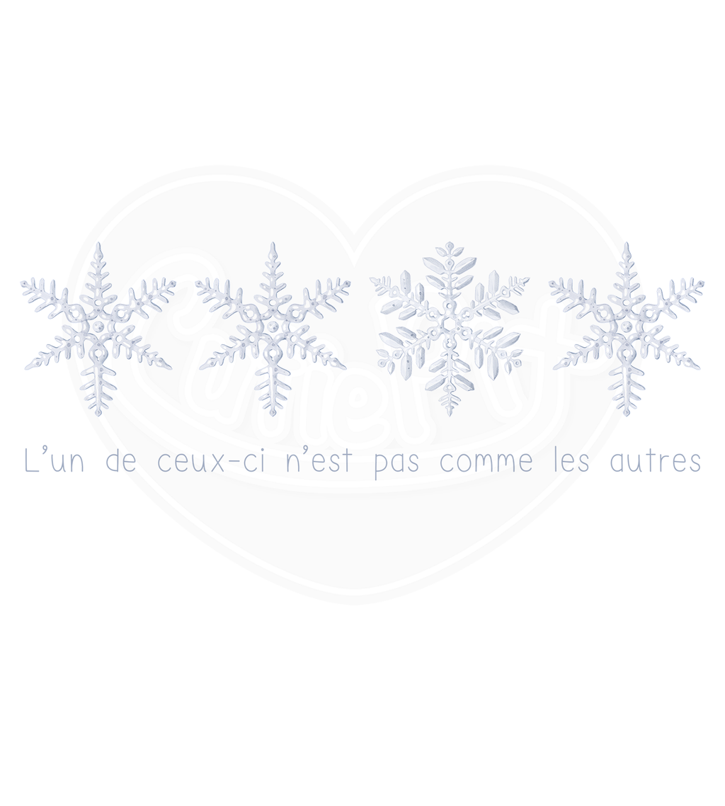 Youth classic tee - One of these is not like the others French