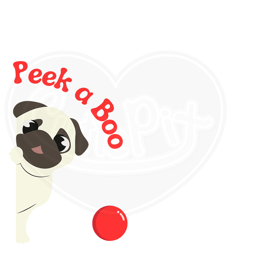 DryBlend® T-Shirt - Peek a boo doggy