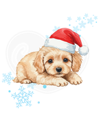 Infant bodysuit - Winter poodle snowflakes