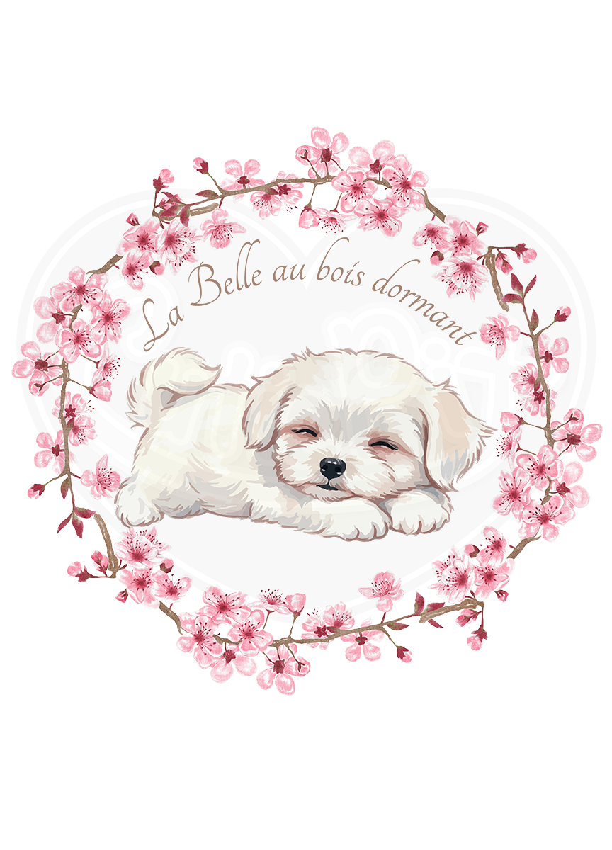 Infant bodysuit - Spring blossom sleepy puppy French