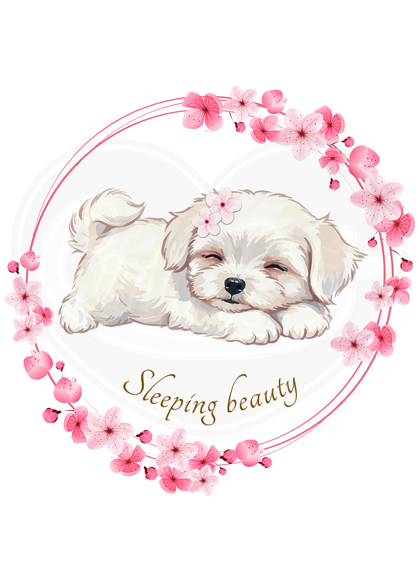 DryBlend® T-Shirt - Spring puppy sleeping beauty