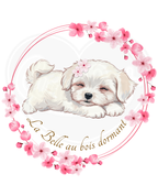 DryBlend® T-Shirt - Spring puppy sleeping beauty French